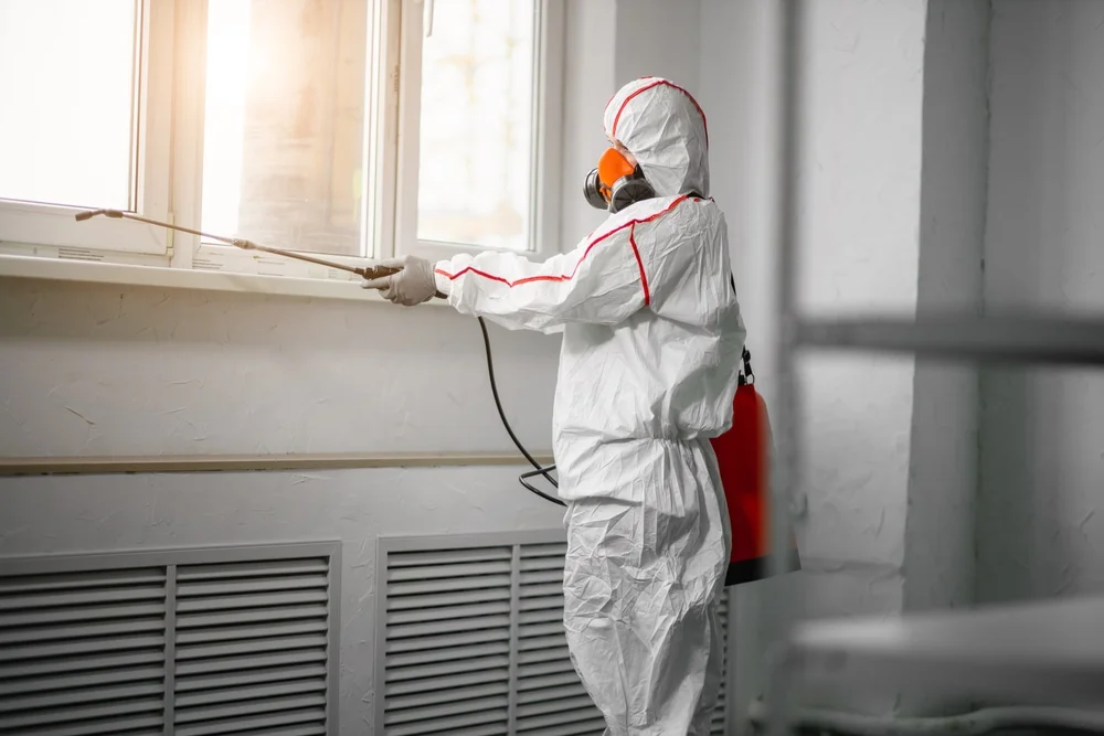 Professional mold remediation services in Irvington, NY